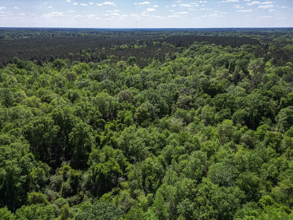 4199 Pumping Station Road Osyka, MS 39657 - Photo 10 of 51 Photo 10