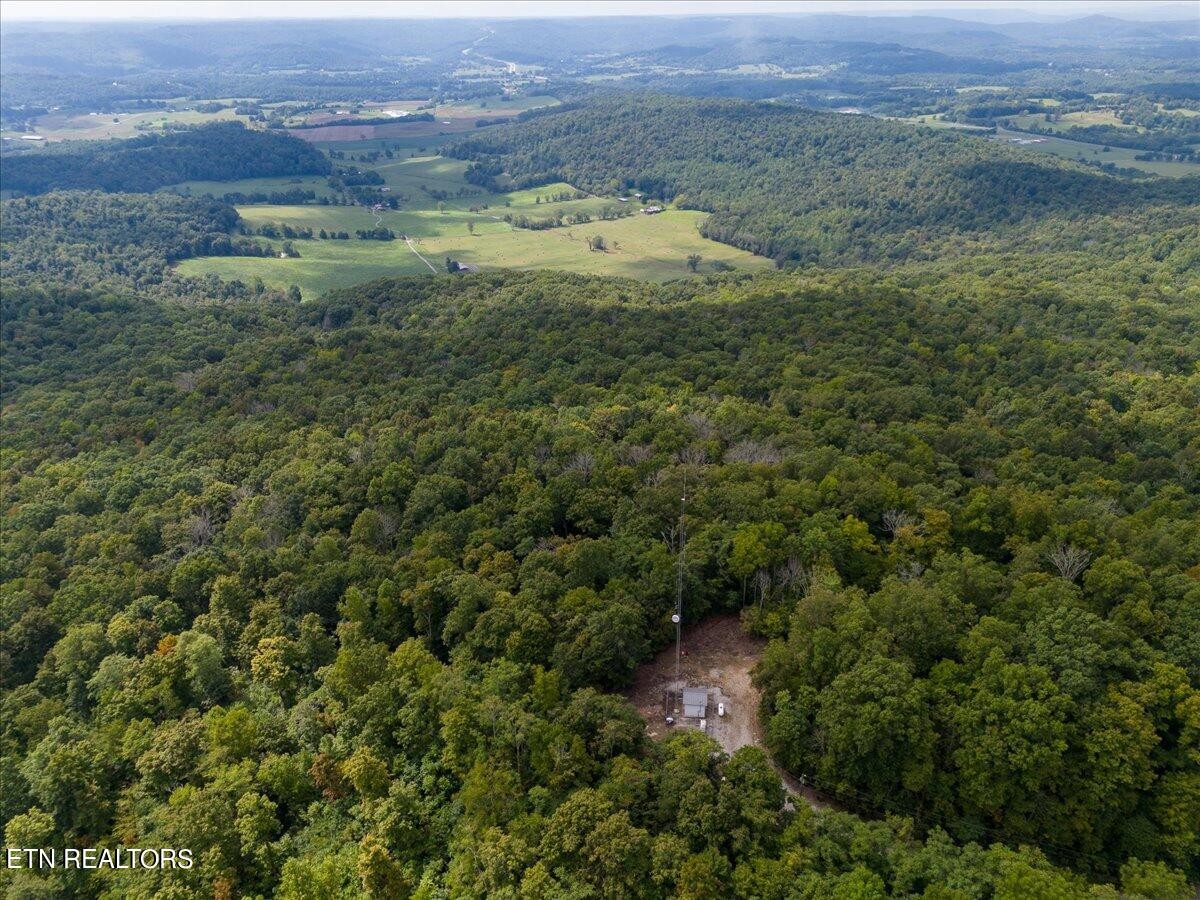 0 Fire Tower 23.2 Ac Road Sparta, TN 38583 - Photo 8 of 18 Gallery Image 8
