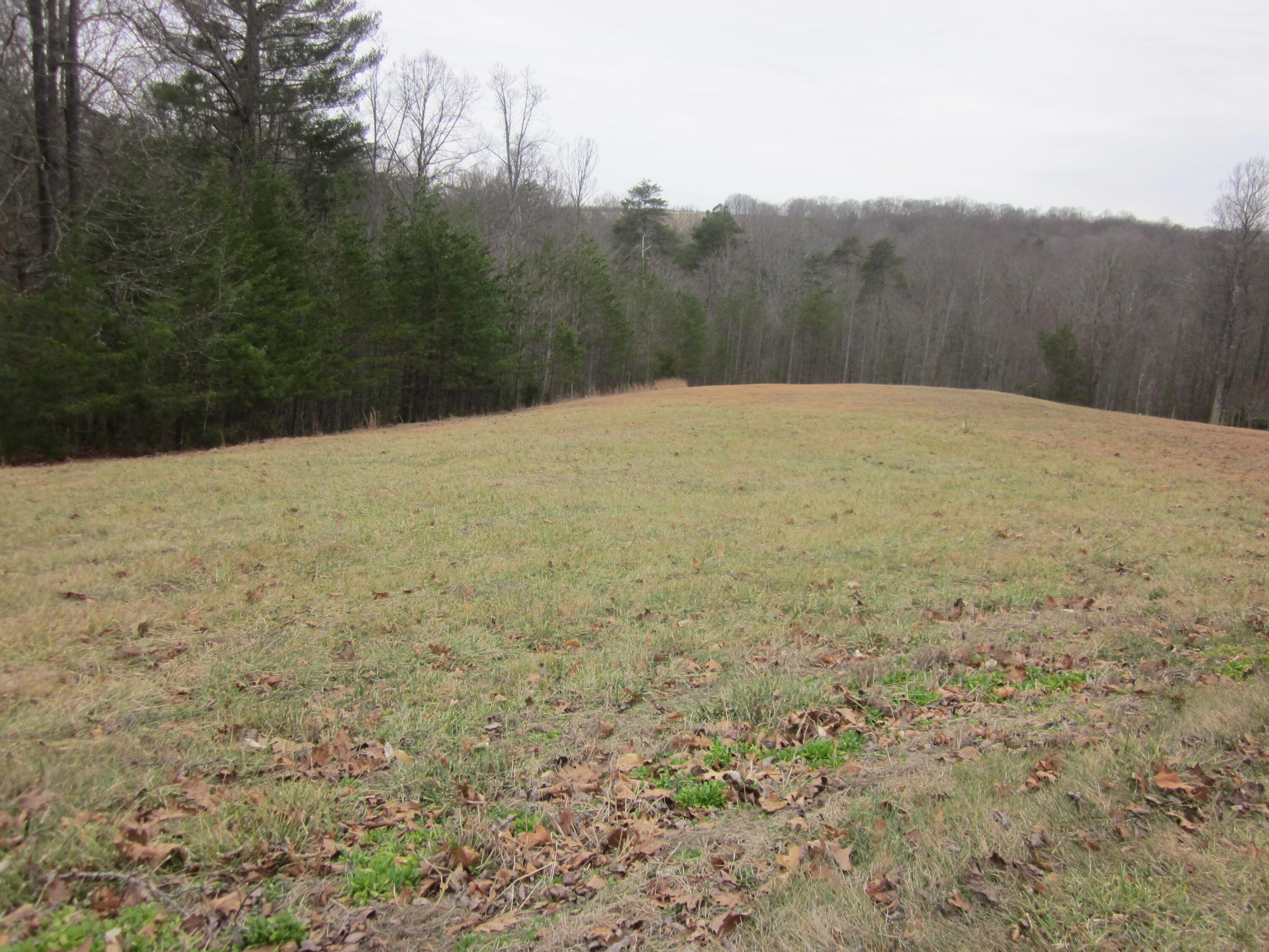 31 Revolution Road Wirtz, VA 24184 - Photo 2 of 9 a view of a dry yard