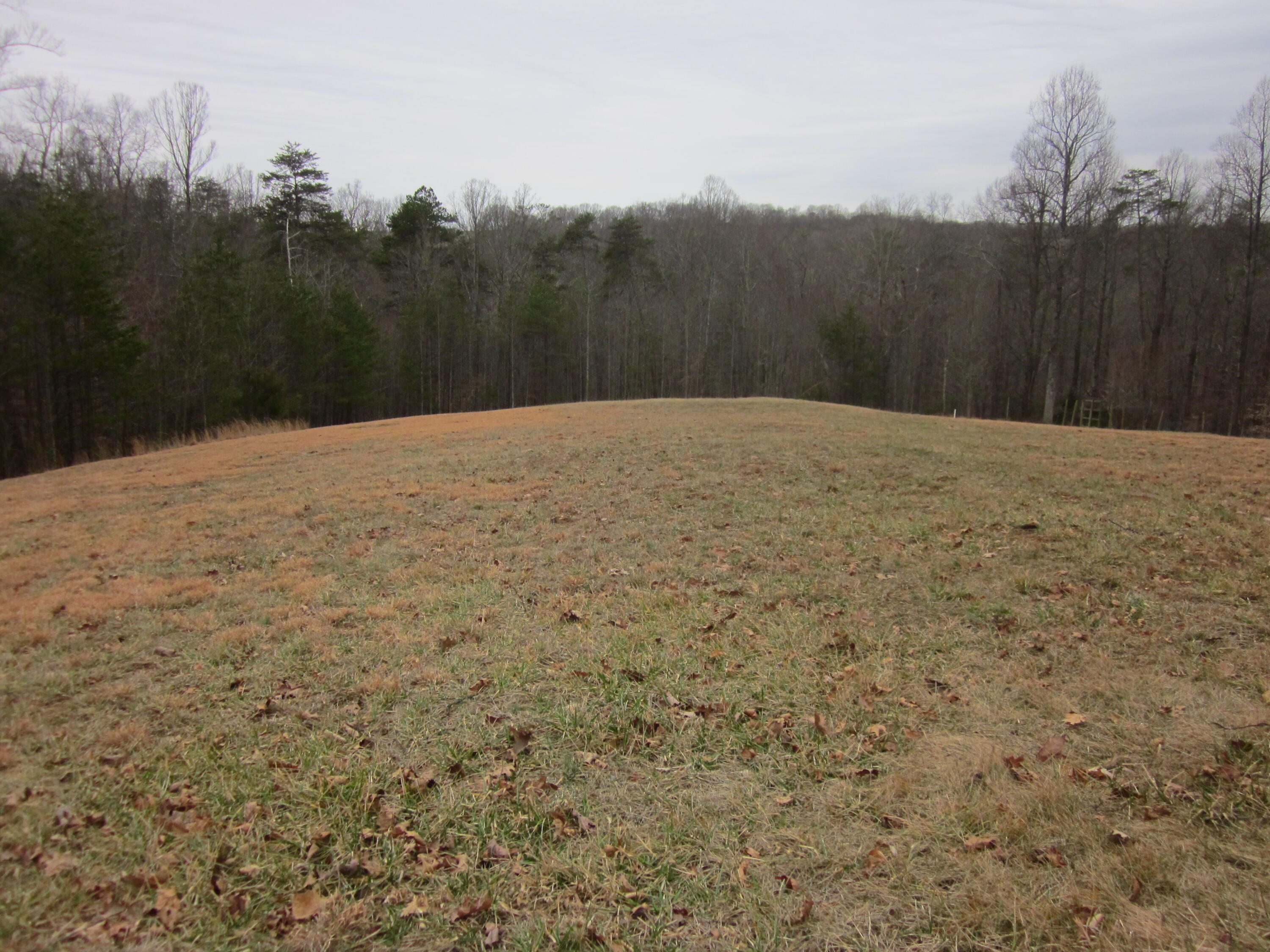 31 Revolution Road Wirtz, VA 24184 - Photo 4 of 9 a view of a backyard of a house