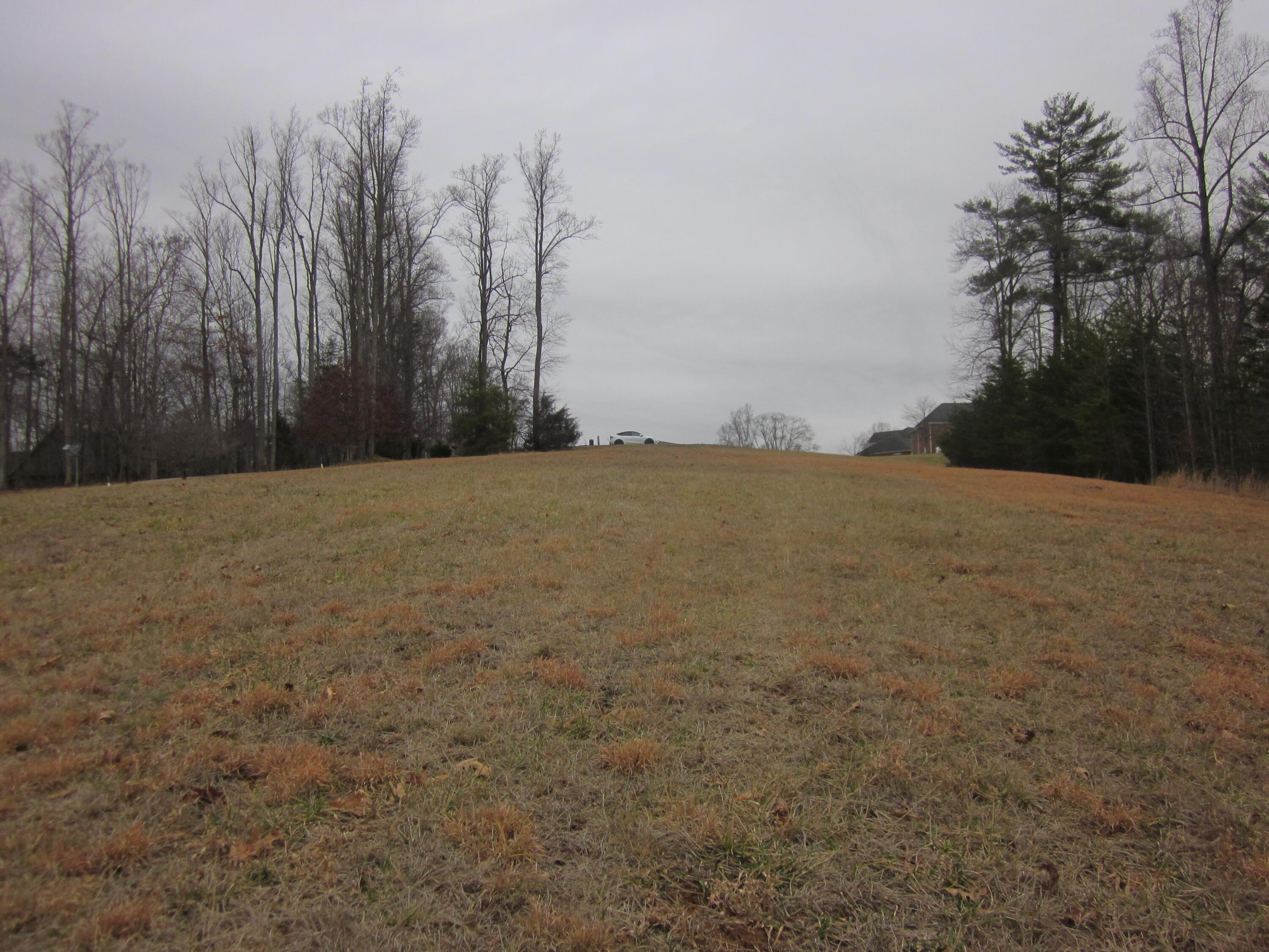 31 Revolution Road Wirtz, VA 24184 - Photo 6 of 9 a view of ocean