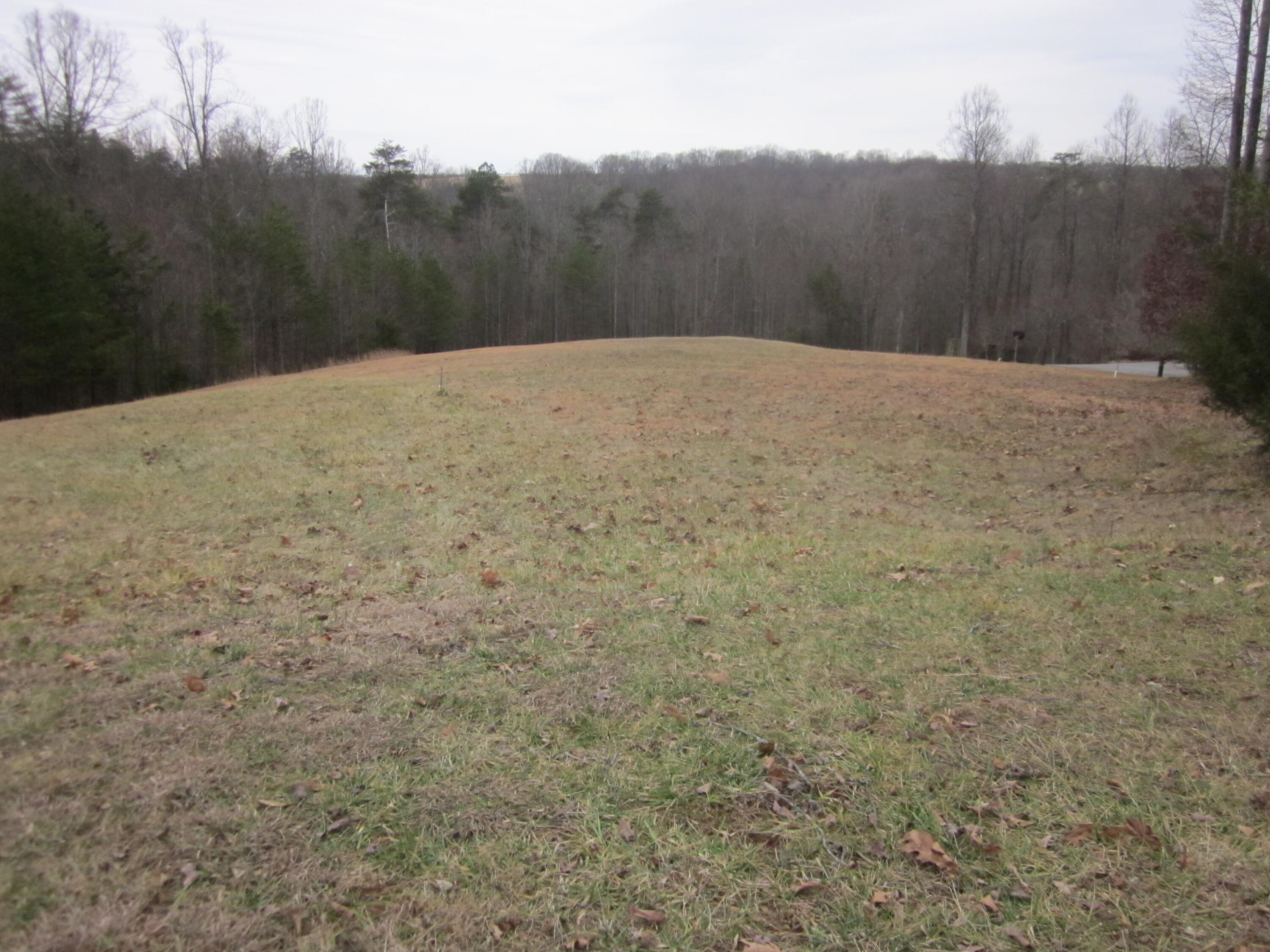 31 Revolution Road Wirtz, VA 24184 - Photo 9 of 9 a view of basketball court