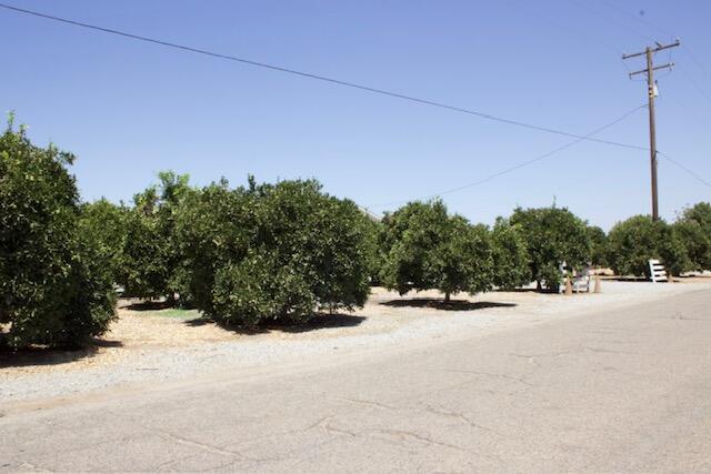 20015 Rd 212 Lindsay, CA 93247 - Photo 19 of 62 IMG_1351