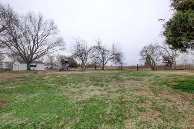403 Sango Road Clarksville, TN 37043 - Photo 19 of 20 Look at the size of this yard, and let your imagination run wild!