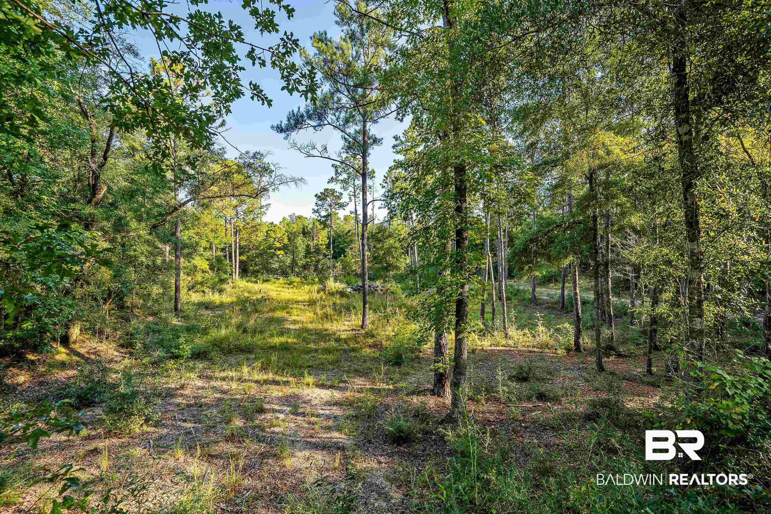 8190 Dixon Road Bay Minette, AL 36507 - Photo 9 of 13