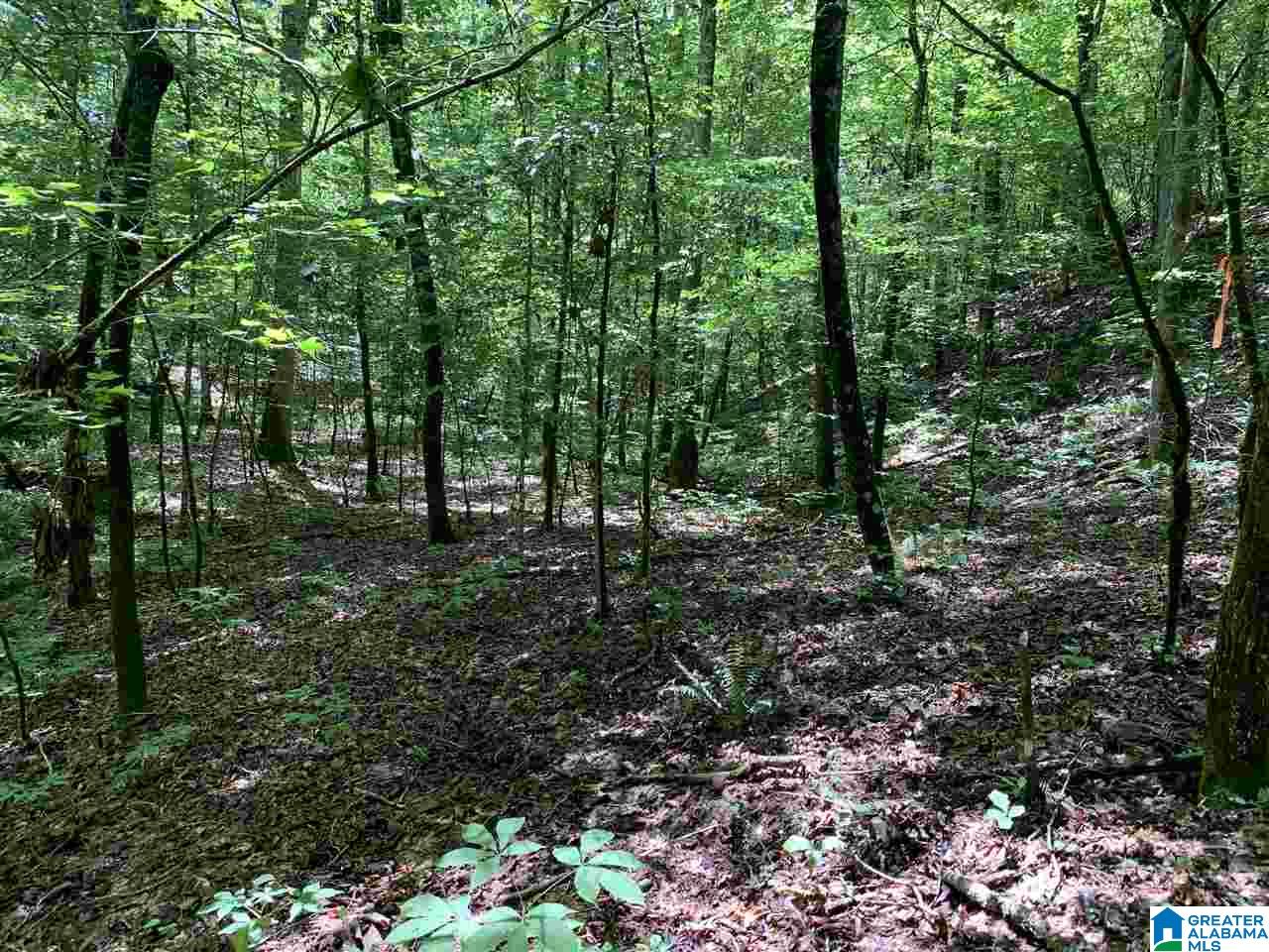 0 Brown Road Calera, AL 35040 - Photo 12 of 18