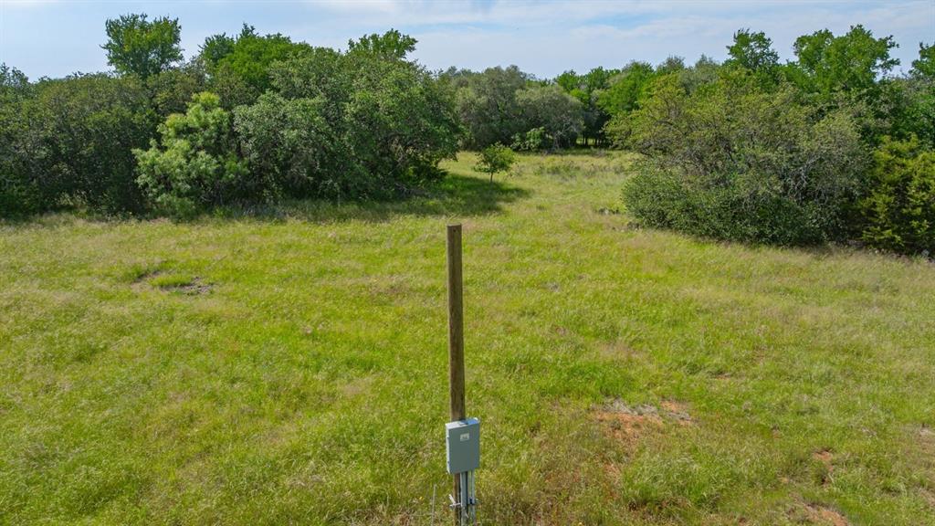 136 Moose Trail Ranger, TX 76470 - Photo 35 of 40 a view of a garden