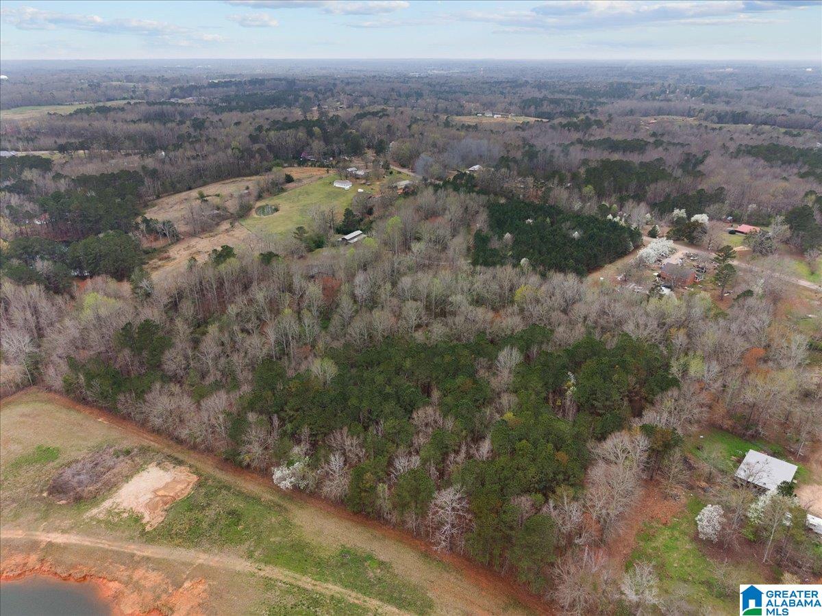 3280 County Road 32 Clanton, AL 35046 - Photo 54 of 54