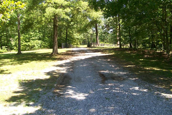 10748 Harrison Ferry Road McMinnville, TN 37110 - Photo 2 of 29 a view of a yard with a tree