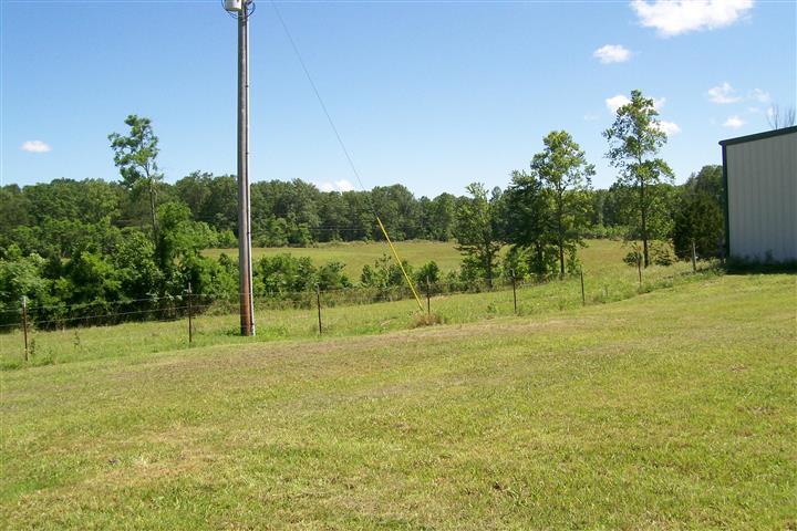 10748 Harrison Ferry Road McMinnville, TN 37110 - Photo 11 of 29 a view of a garden