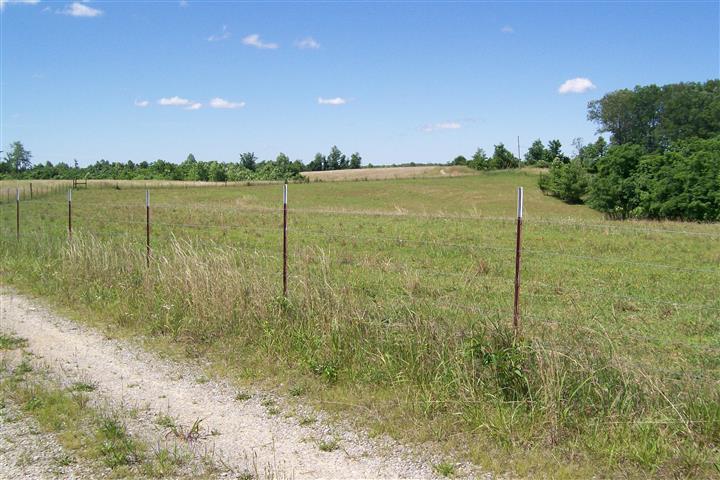 10748 Harrison Ferry Road McMinnville, TN 37110 - Photo 13 of 29 a view of a lake with a big yard