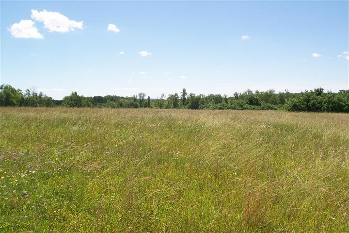 10748 Harrison Ferry Road McMinnville, TN 37110 - Photo 14 of 29 a view of lake and mountain view