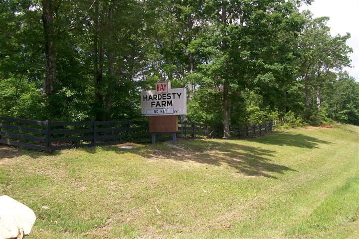 10748 Harrison Ferry Road McMinnville, TN 37110 - Photo 4 of 29 a view of a street with trees beside of it