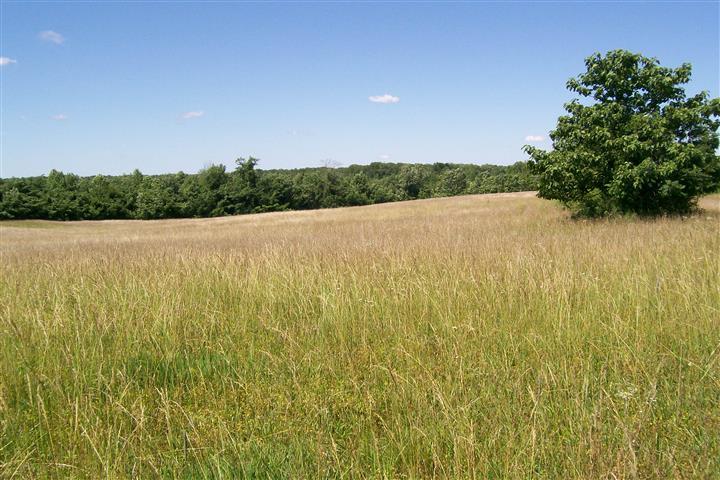 10748 Harrison Ferry Road McMinnville, TN 37110 - Photo 5 of 29 a view of an ocean