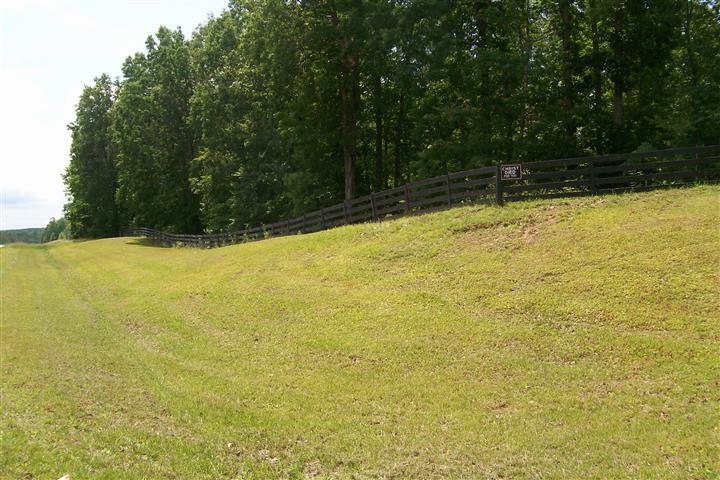 10748 Harrison Ferry Road McMinnville, TN 37110 - Photo 6 of 29 a view of a yard with an outdoor space