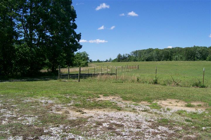 10748 Harrison Ferry Road McMinnville, TN 37110 - Photo 10 of 29 a view of a garden with a lake