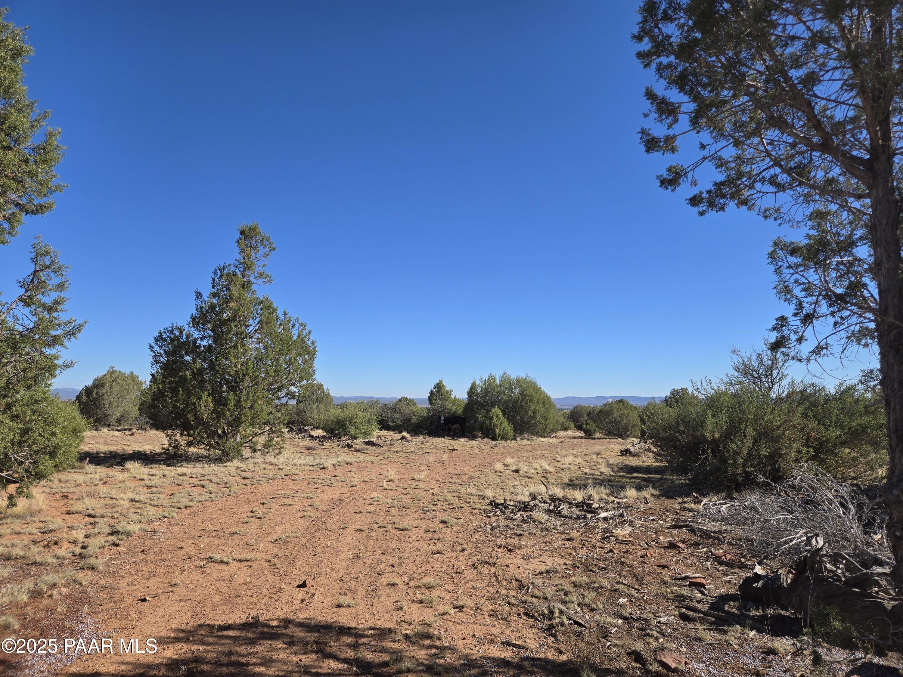 2 East Raney Road Ash Fork, AZ 86320 - Photo 3 of 12 20250803_083123