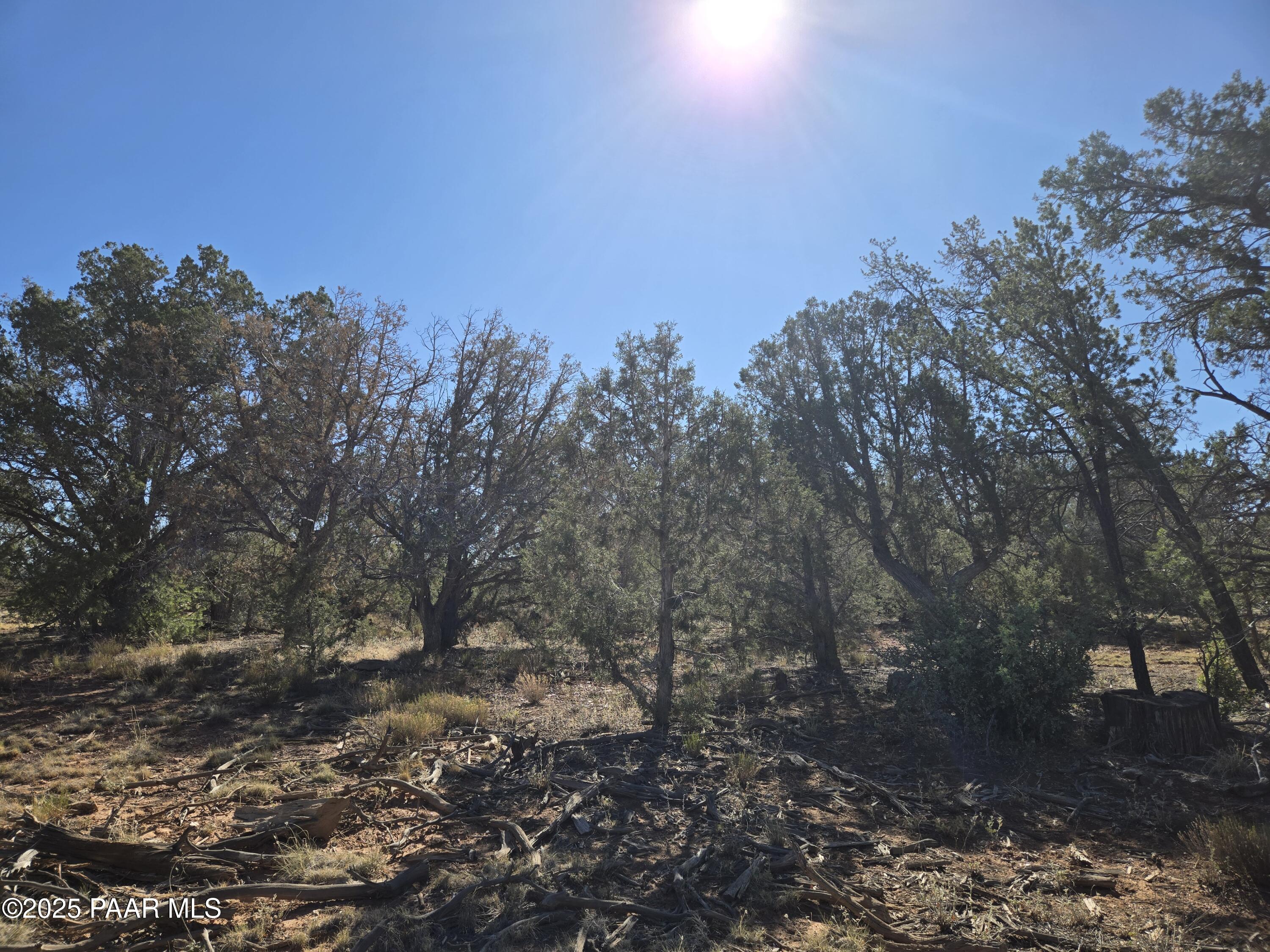 2 East Raney Road Ash Fork, AZ 86320 - Photo 5 of 12 20250803_084202