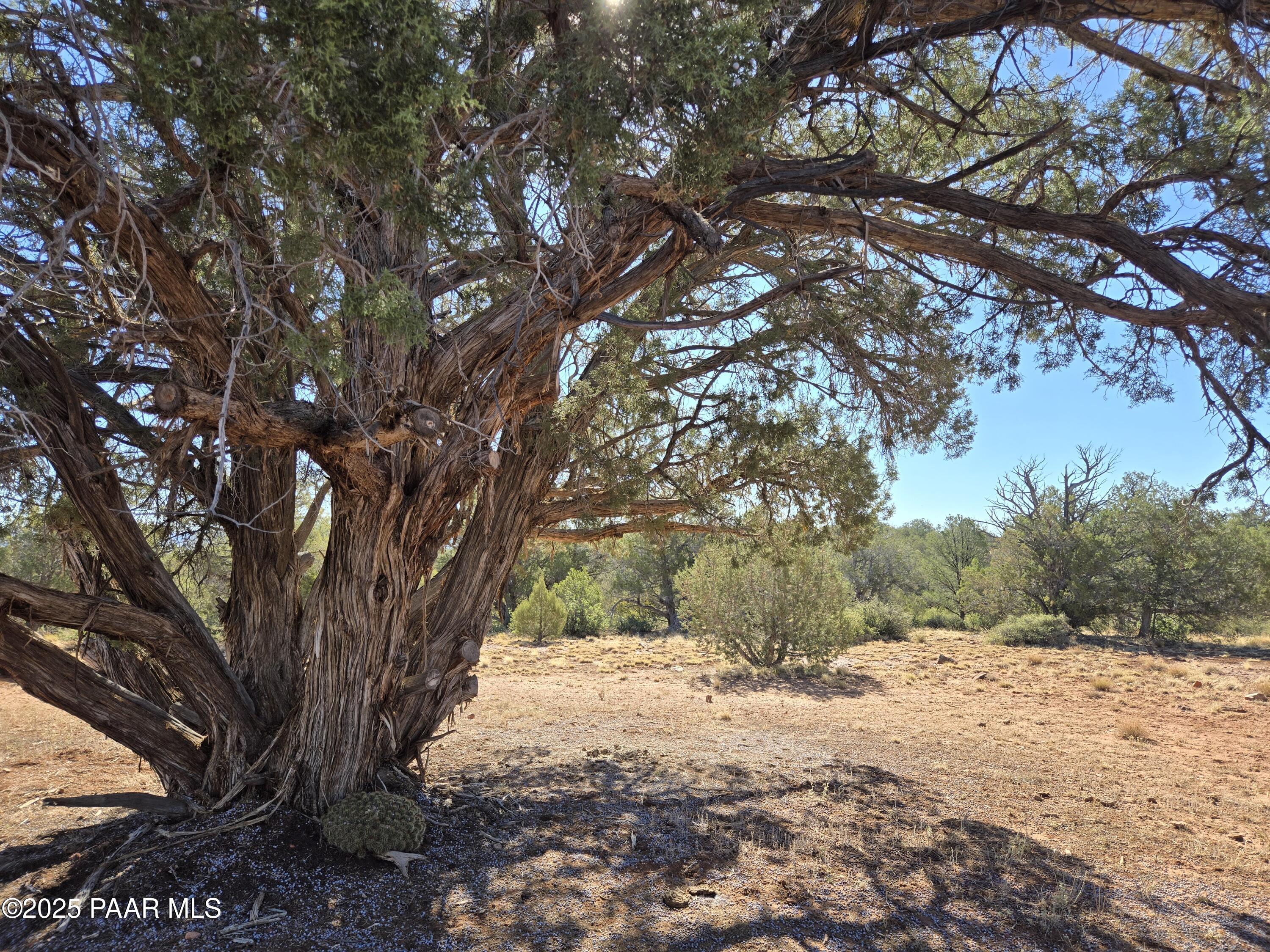 2 East Raney Road Ash Fork, AZ 86320 - Photo 10 of 12 20250803_083443