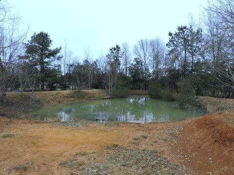 14360 Fisher Road Franklinton, LA 70438 - Photo 13 of 23 Gallery Image 13