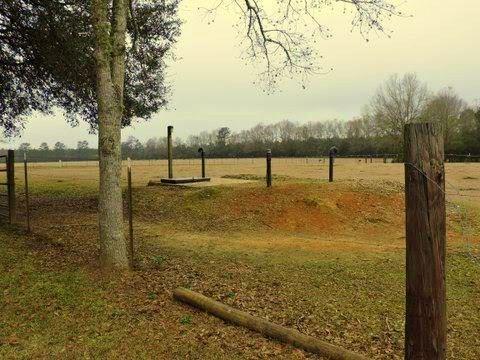 14360 Fisher Road Franklinton, LA 70438 - Photo 3 of 23 Gallery Image 3