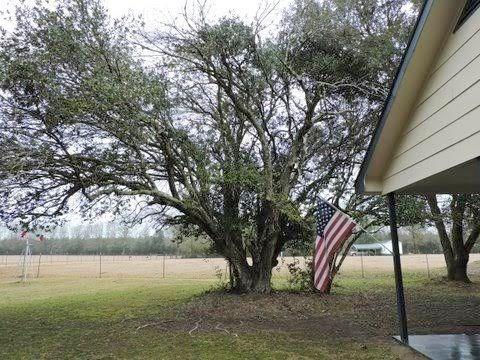 14360 Fisher Road Franklinton, LA 70438 - Photo 4 of 23 Gallery Image 4