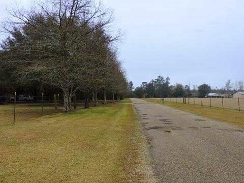 14360 Fisher Road Franklinton, LA 70438 - Photo 5 of 23 Gallery Image 5