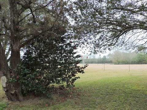 14360 Fisher Road Franklinton, LA 70438 - Photo 6 of 23 Gallery Image 6