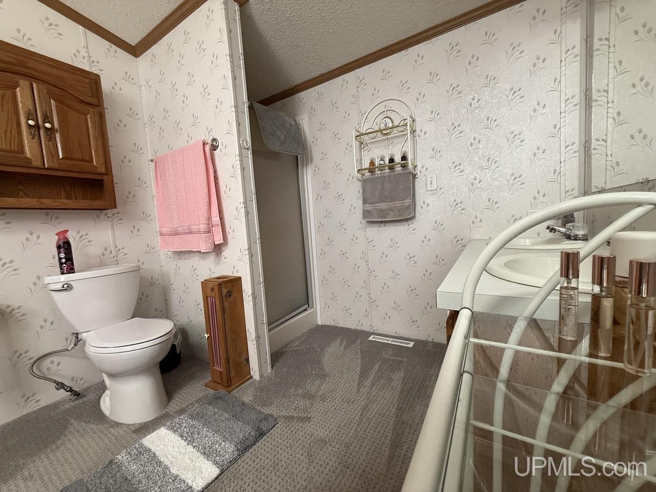 N13515 Newberg Road Channing, MI 49815 - Photo 23 of 51
