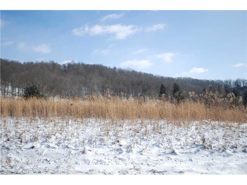 Swain Hill Road Harmony, PA 16037 - Photo 1 of 5 Land.