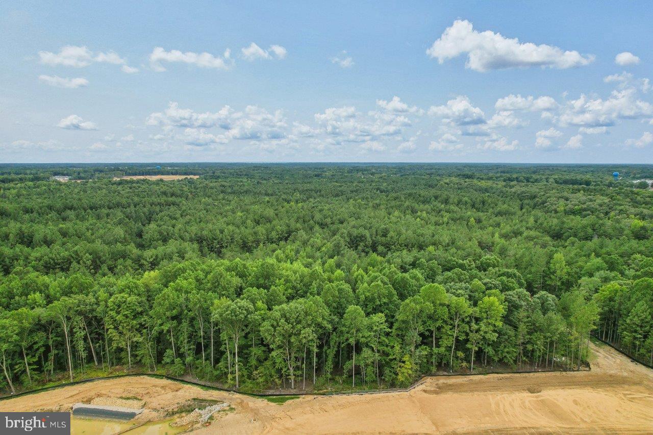 328 Soft Rush Lane La Plata, MD 20646 - Photo 49 of 56