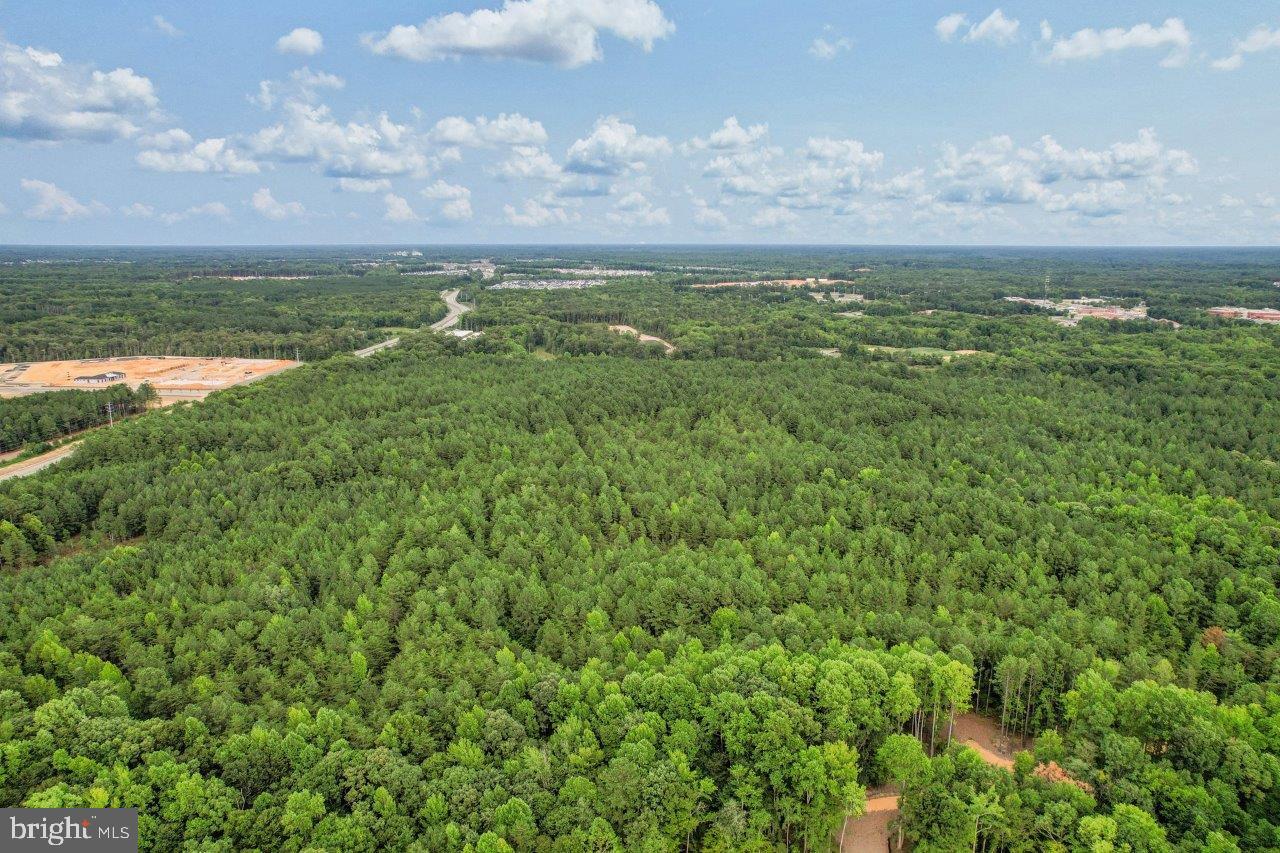 328 Soft Rush Lane La Plata, MD 20646 - Photo 50 of 56