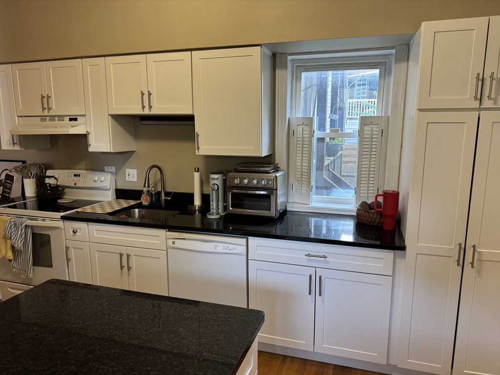 48 Mercer Street, Unit 1 Boston, MA 02127 - Photo 4 of 11