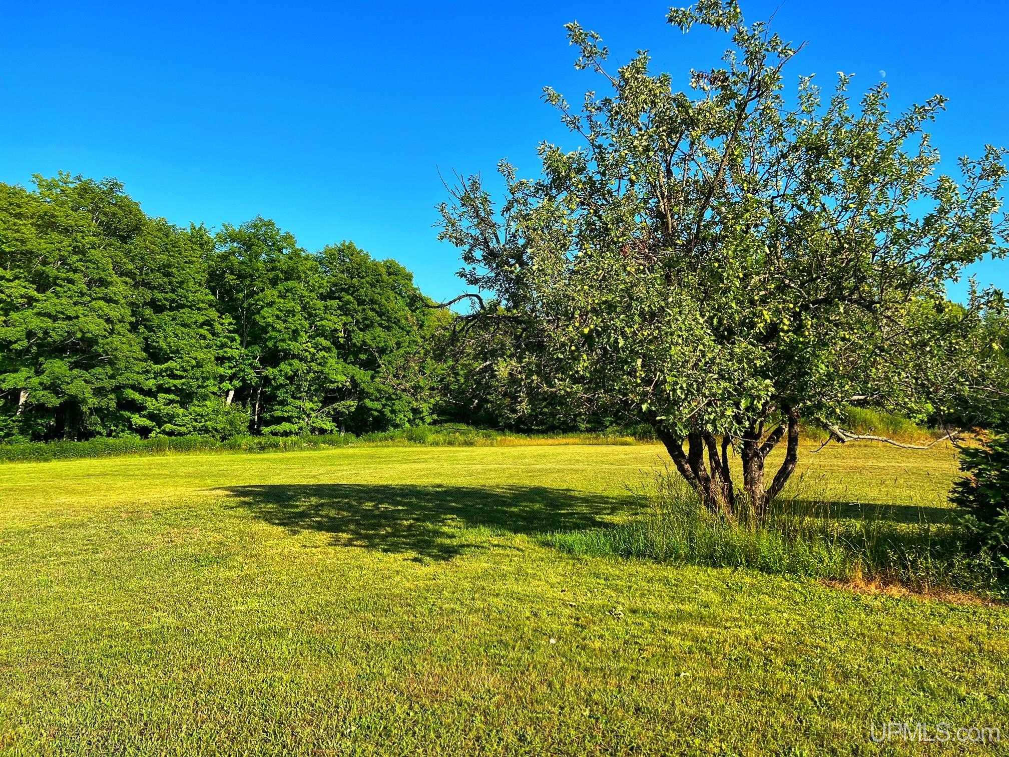 31357 Mud Lake Road Lake Linden, MI 49945 - Photo 42 of 47