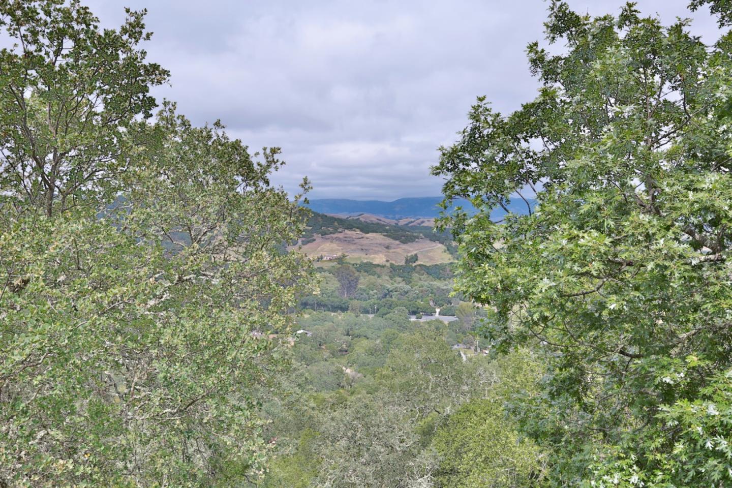 9040 El Matador Drive Gilroy, CA 95020 - Photo 25 of 26 a view of a yard with plants and a tree
