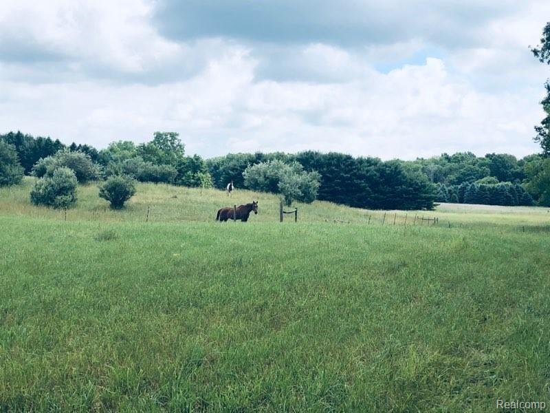 Vac Bentley Lake Road Howell, MI 48843 - Photo 13 of 16