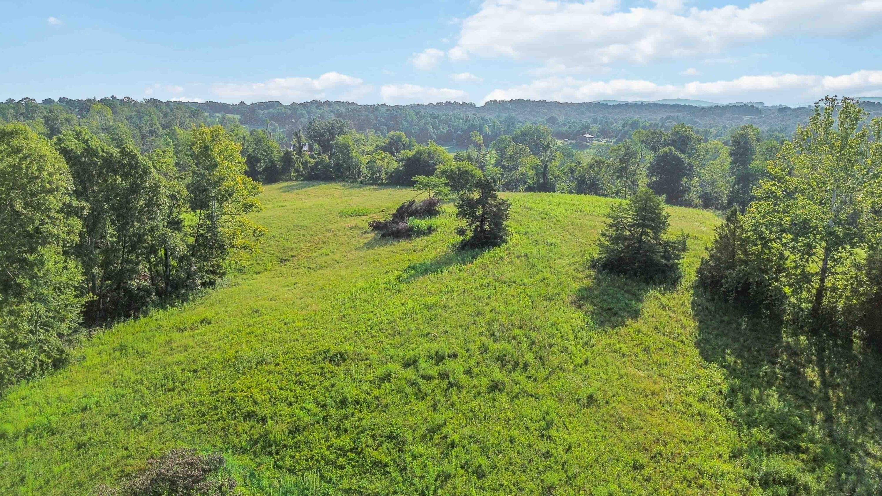 41-acres Dug Road Monticello, KY 42633 - Photo 5 of 16 009