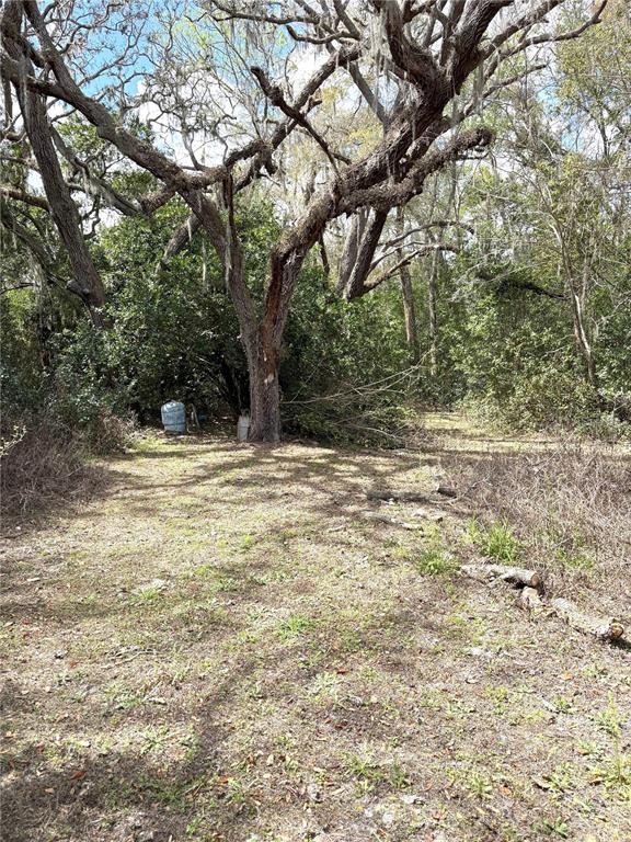 21249 Durden Road Dade City, FL 33523 - Photo 14 of 28 a view of a yard with large trees
