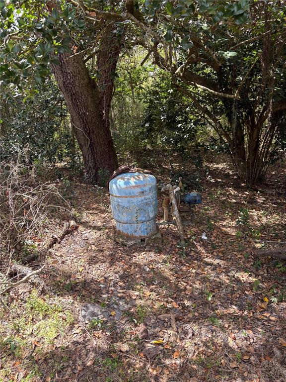 21249 Durden Road Dade City, FL 33523 - Photo 16 of 28 a view of a backyard of the house