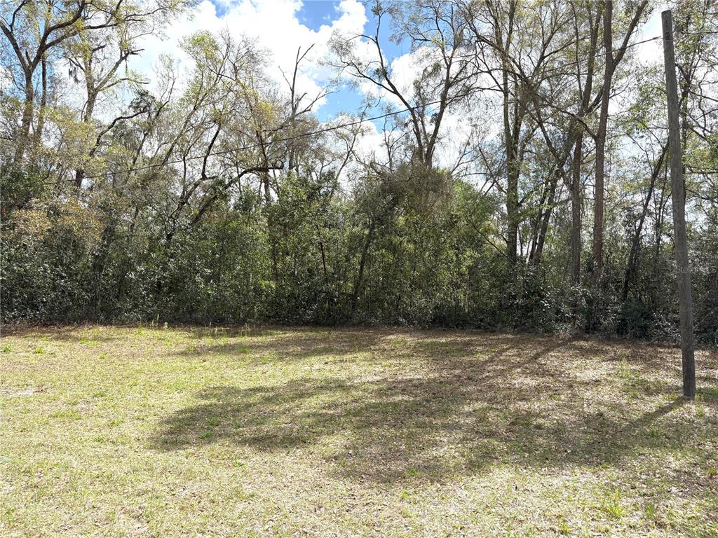 21249 Durden Road Dade City, FL 33523 - Photo 20 of 28 a view of a yard with a tree