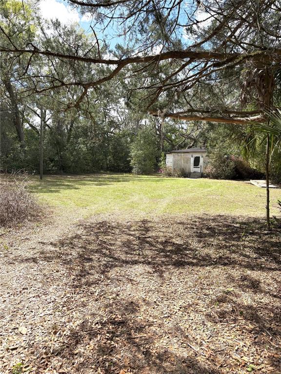 21249 Durden Road Dade City, FL 33523 - Photo 21 of 28 a view of a big yard with a large tree
