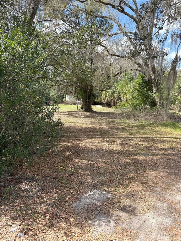 21249 Durden Road Dade City, FL 33523 - Photo 22 of 28 a view of a yard with large trees