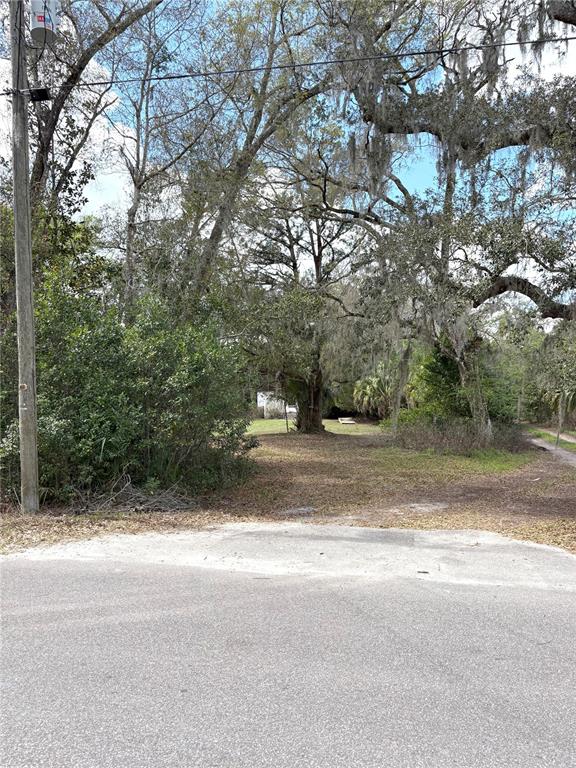 21249 Durden Road Dade City, FL 33523 - Photo 23 of 28 a view of a yard with a large tree