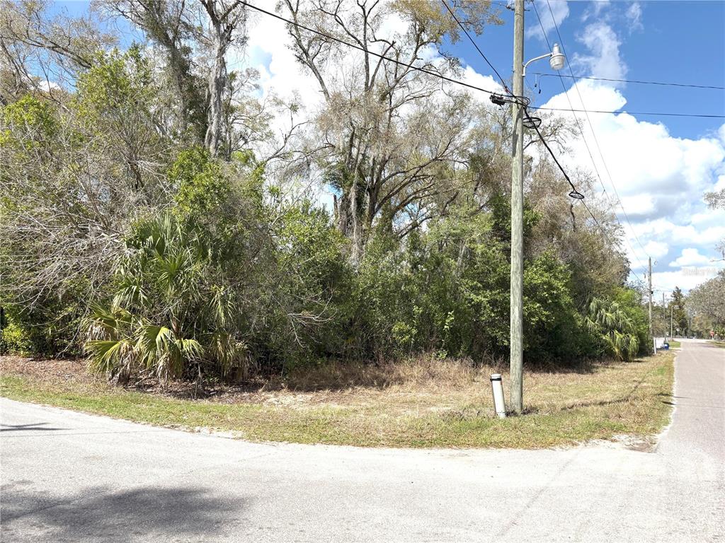 21249 Durden Road Dade City, FL 33523 - Photo 25 of 28 a view of a yard with a tree