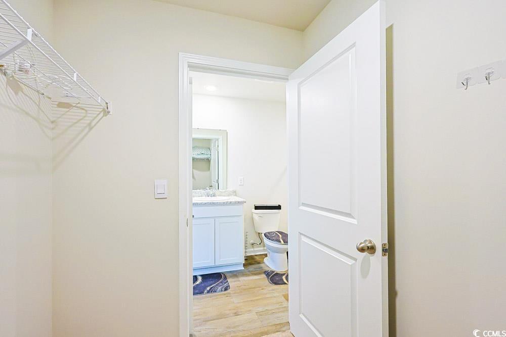 224 Jeff Waters Circle Longs, SC 29568 - Photo 25 of 30 Walk in closet with light wood-style floors and a sink
