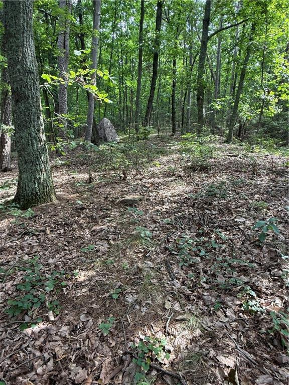 680 Fouche Gap Road Northwest Rome, GA 30165 - Photo 11 of 28 a view of a forest with trees in the background