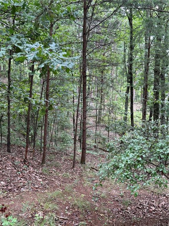 680 Fouche Gap Road Northwest Rome, GA 30165 - Photo 13 of 28 a view of outdoor space and green space