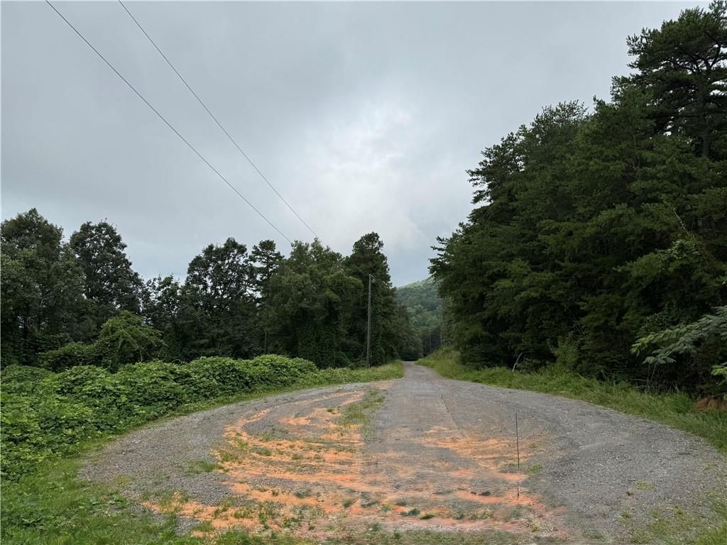 680 Fouche Gap Road Northwest Rome, GA 30165 - Photo 15 of 28 a view of a road with a trees in the background