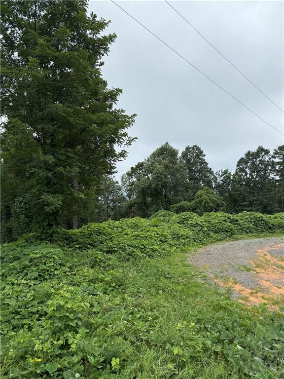 680 Fouche Gap Road Northwest Rome, GA 30165 - Photo 18 of 28 a view of a yard with plants and a tree
