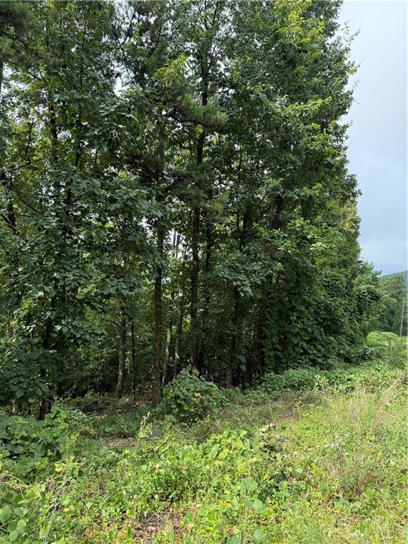680 Fouche Gap Road Northwest Rome, GA 30165 - Photo 20 of 28 a view of a lush green forest